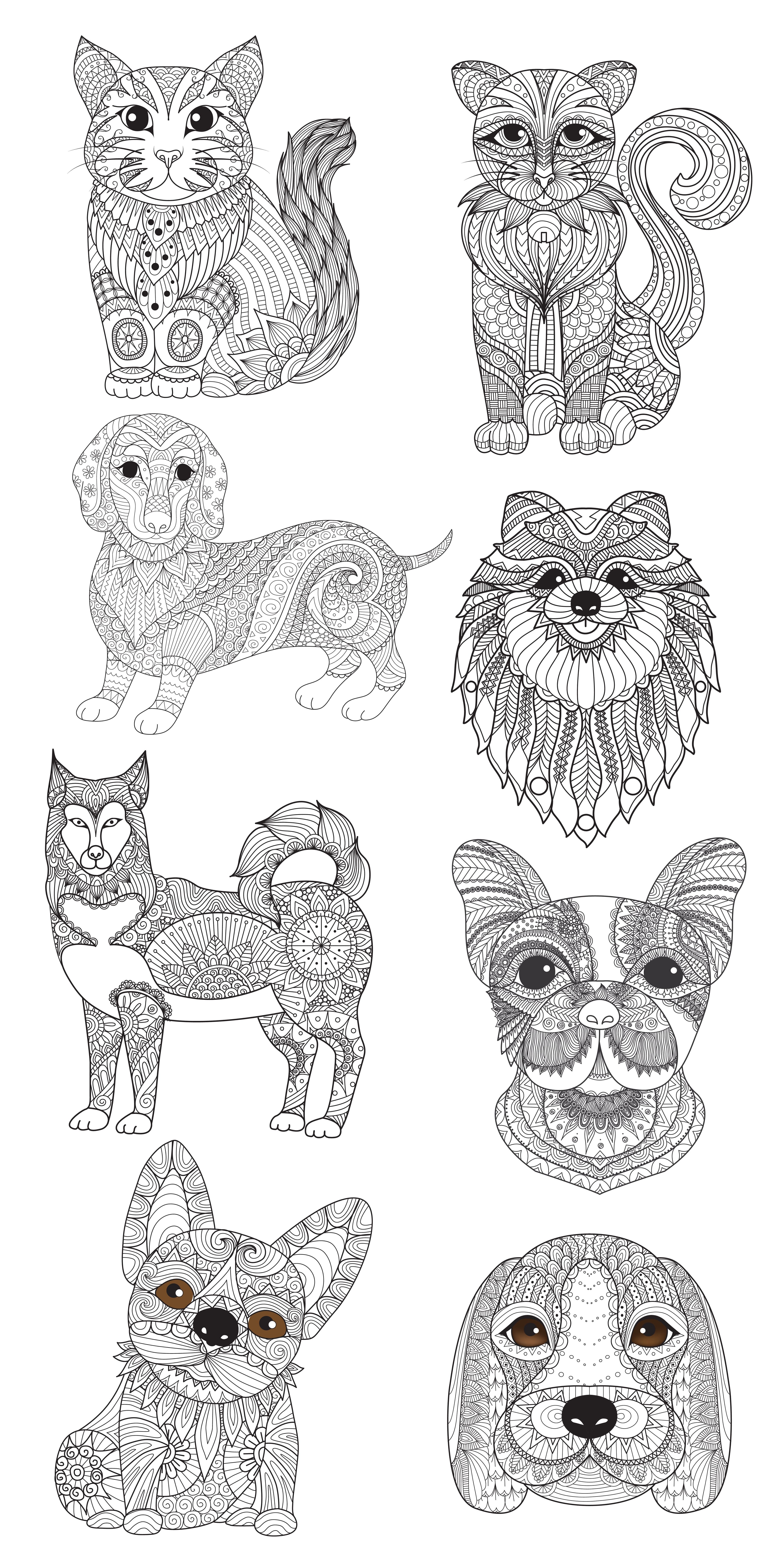 8 different hand drawn cat and dog on a white background.