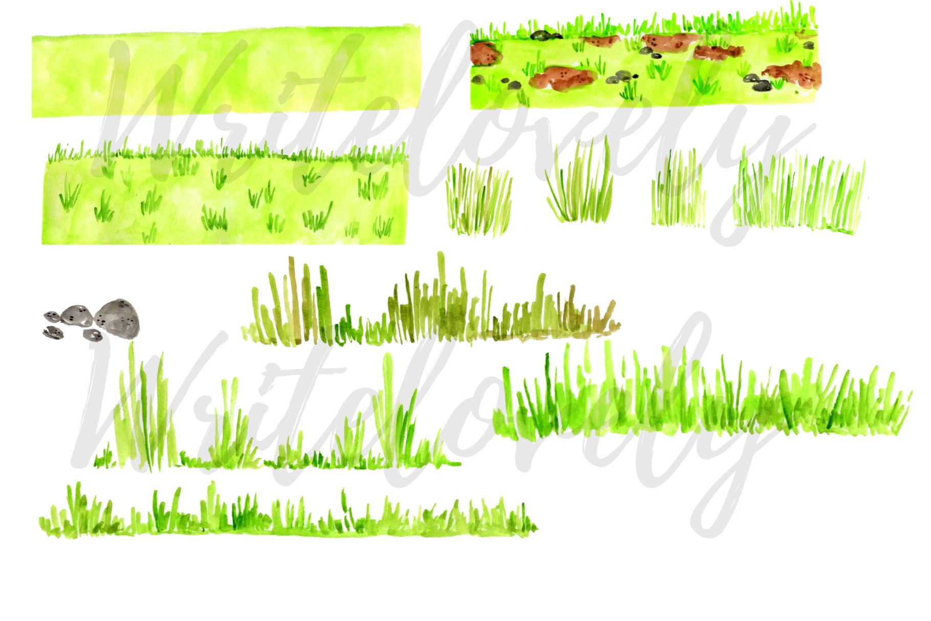 Diverse of grass set.