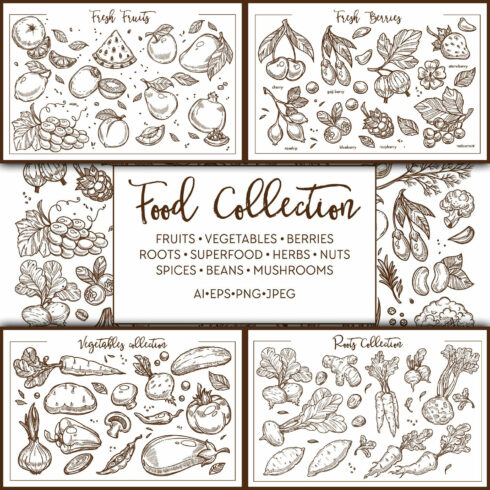 Food sketch collection.