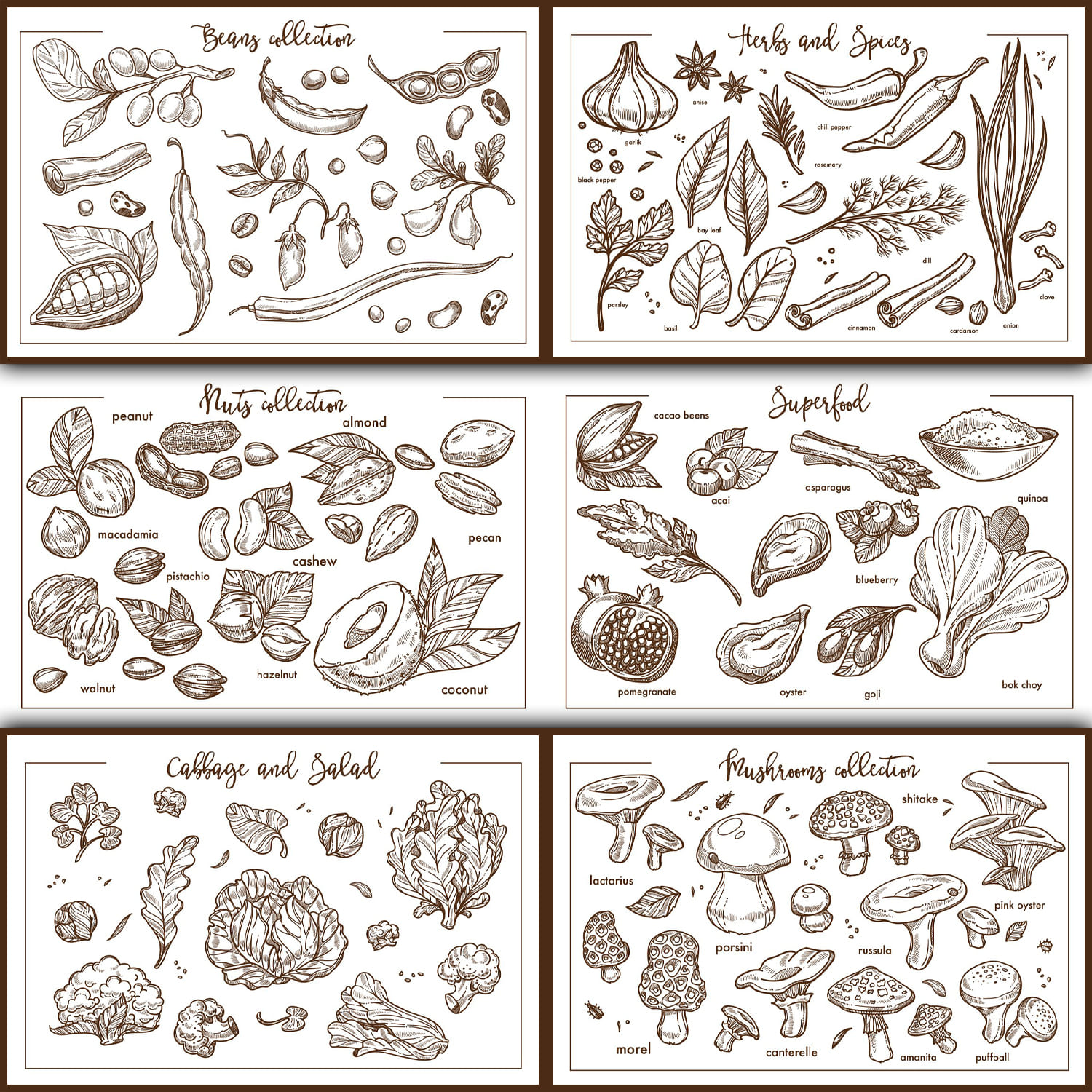 Food sketch collection cover.