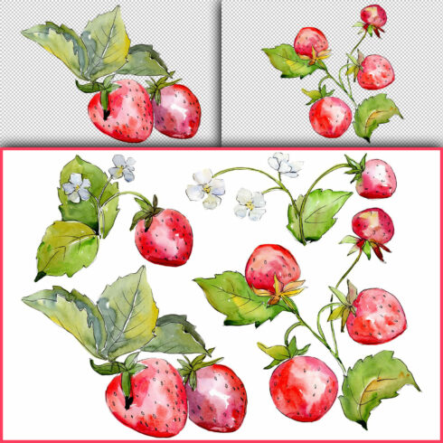 Juicy strawberry watercolor png.