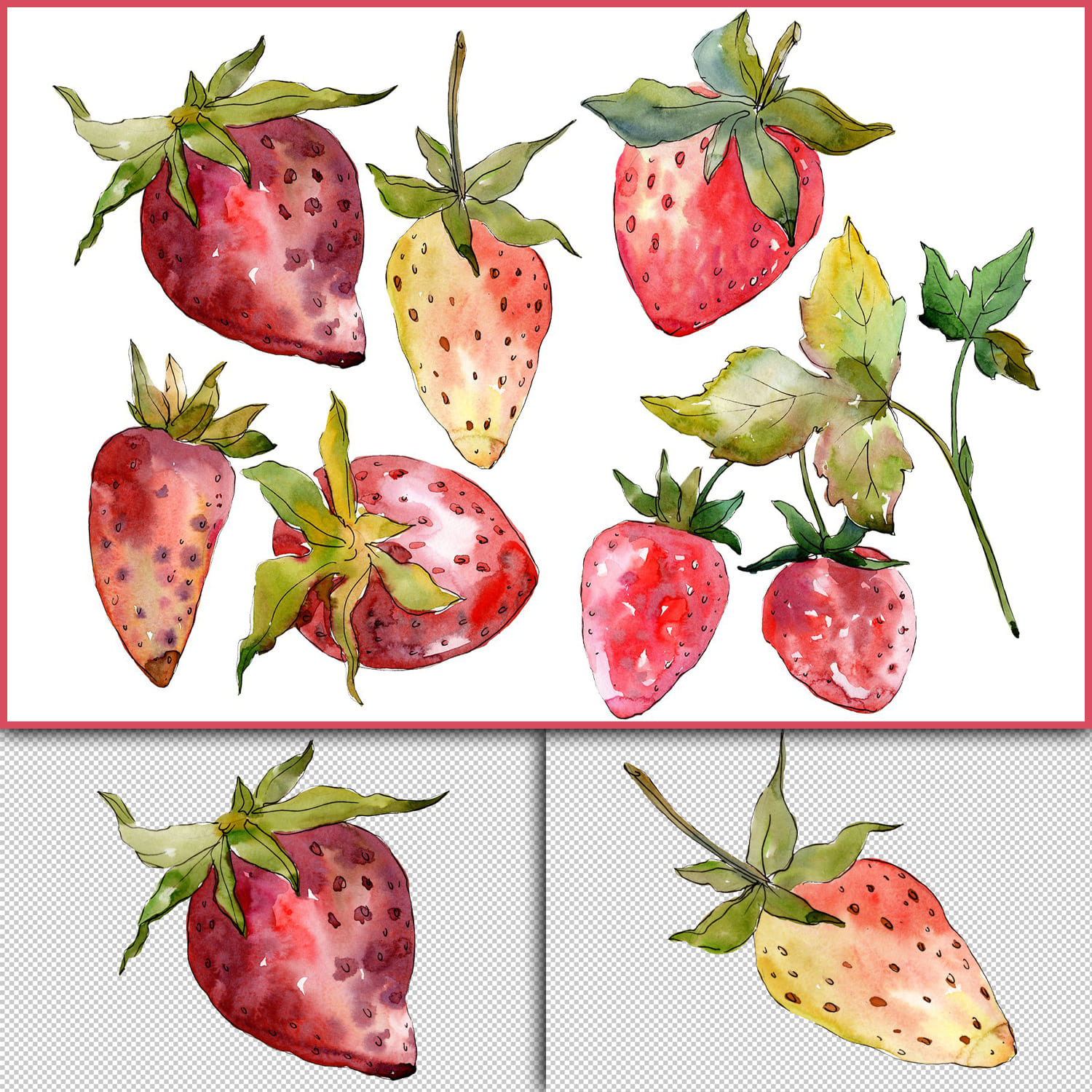 Strawberry "Kimberly" watercolor png cover.