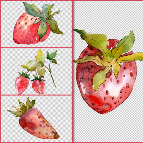 Strawberry "Kimberly" watercolor png.