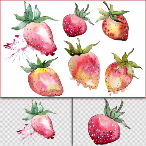 Strawberry "Gigantella" watercolor png.