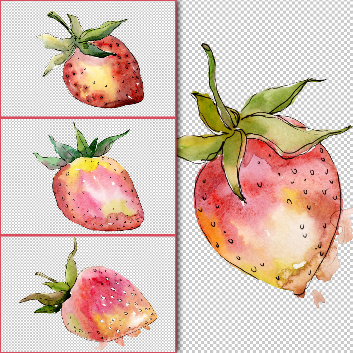 Strawberry "Gigantella" watercolor png cover.