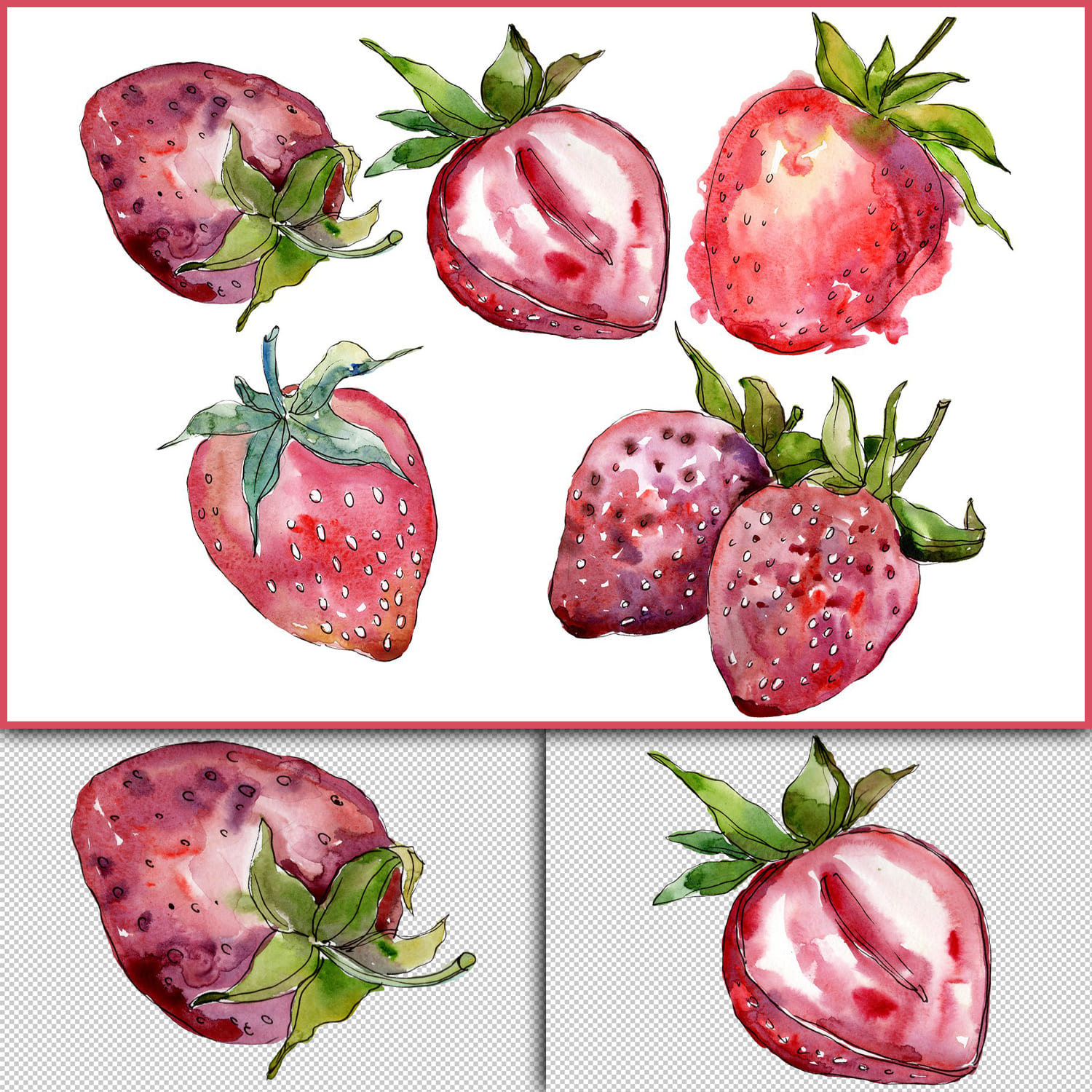Strawberry cultivar "Malvina" watercolor png.