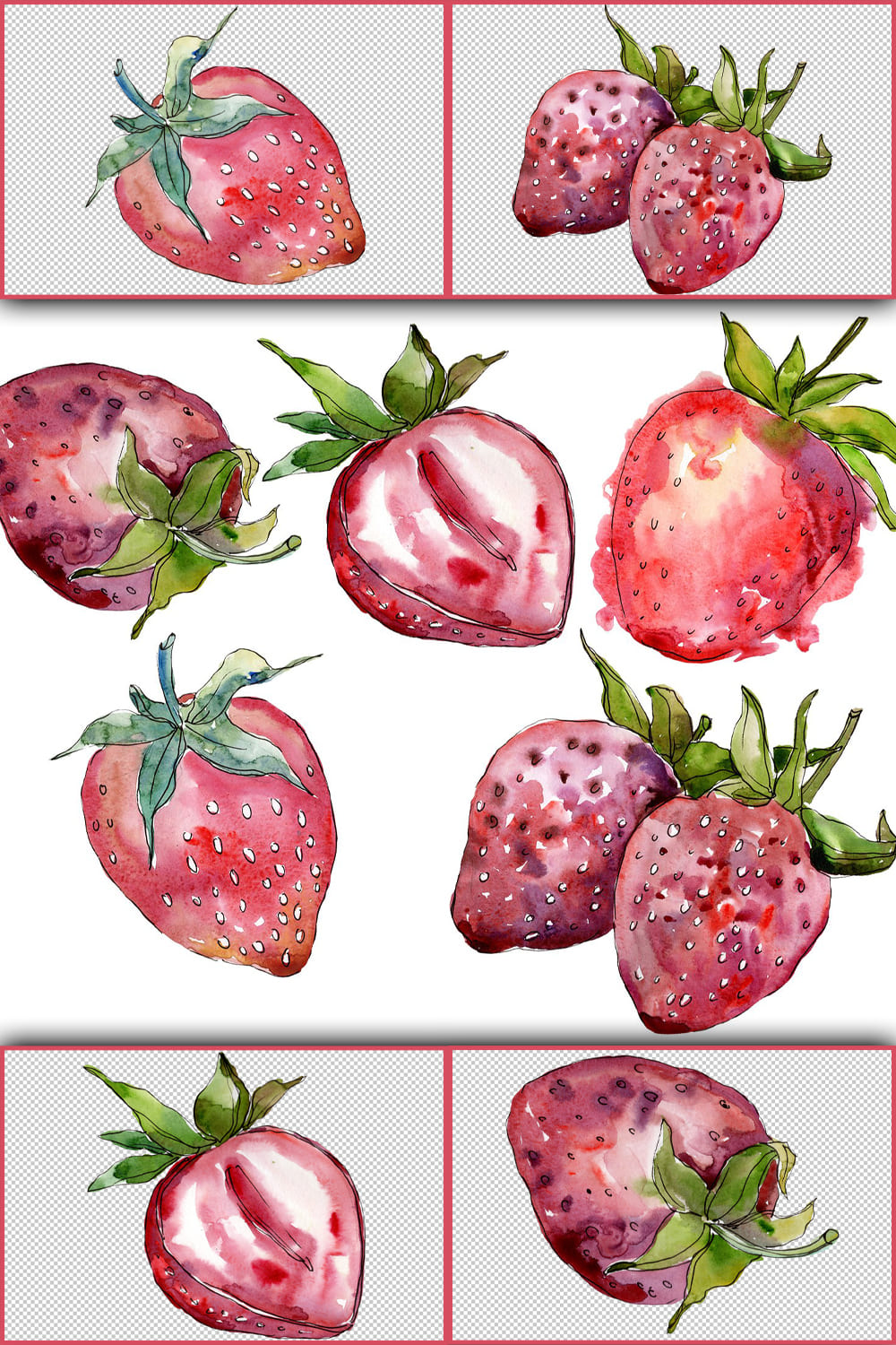 273747 strawberry cultivar malvina watercolor png pinterest 1000 1500 970
