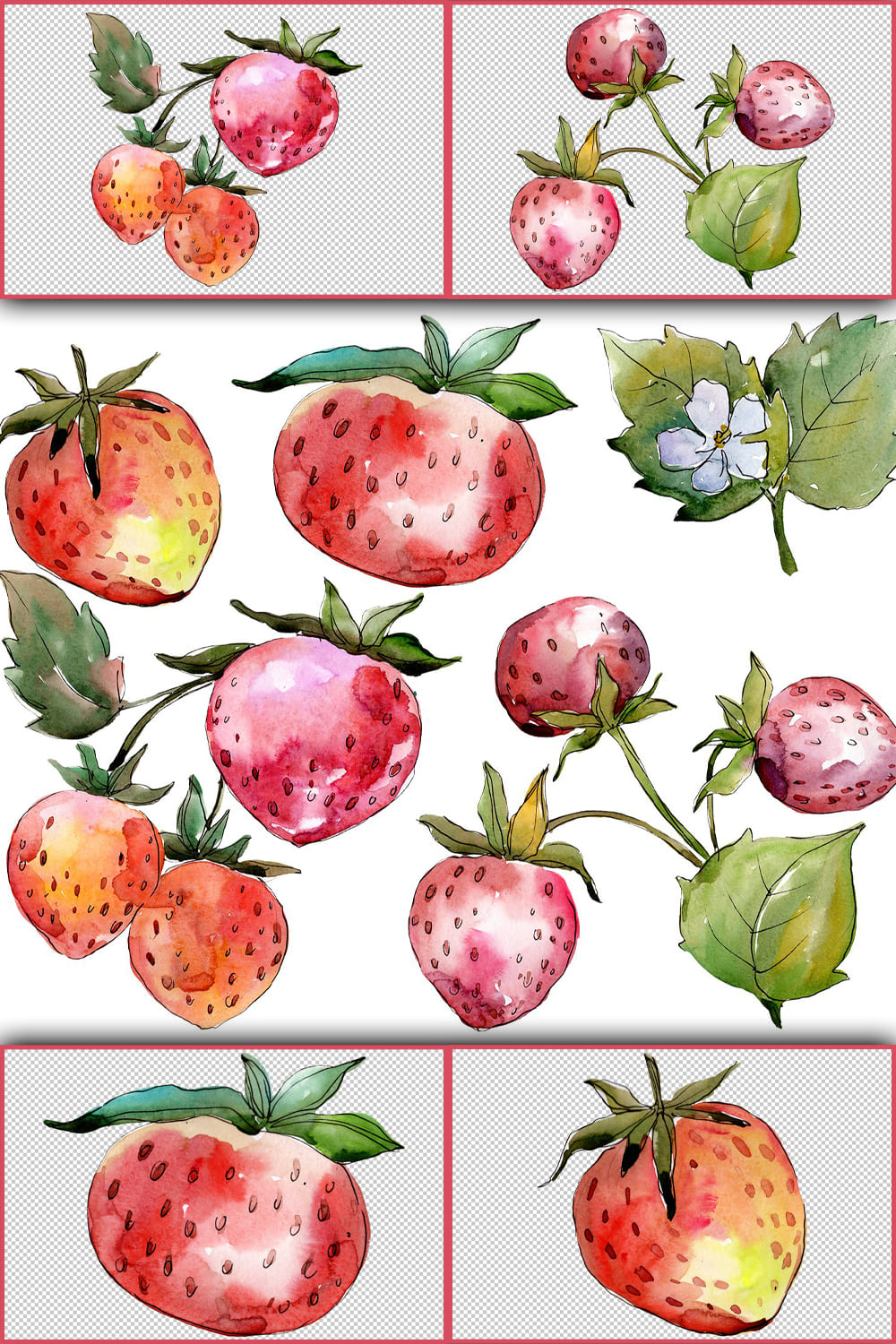 273767 strawberry queen elizabeth watercolor png pinterest 1000 1500 980