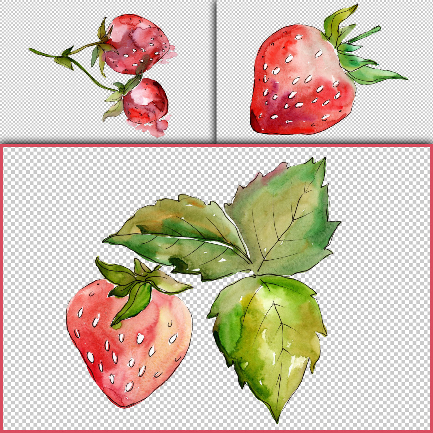 Strawberry Marmolada watercolor png cover.