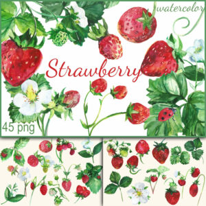 Strawberry Watercolor Cake Clipart Sublimation – MasterBundles