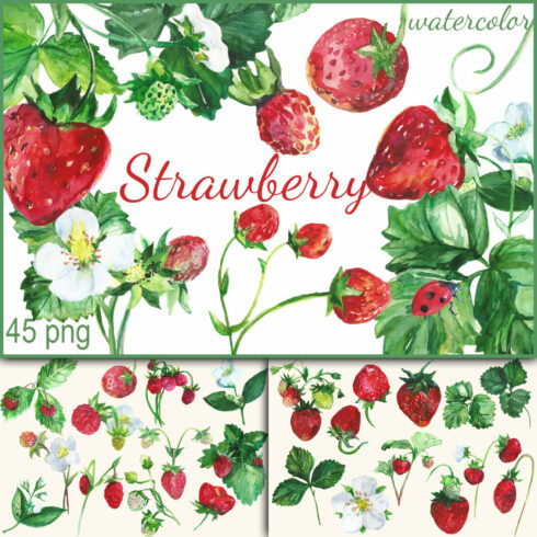 Watercolor Strawberry Clip art.