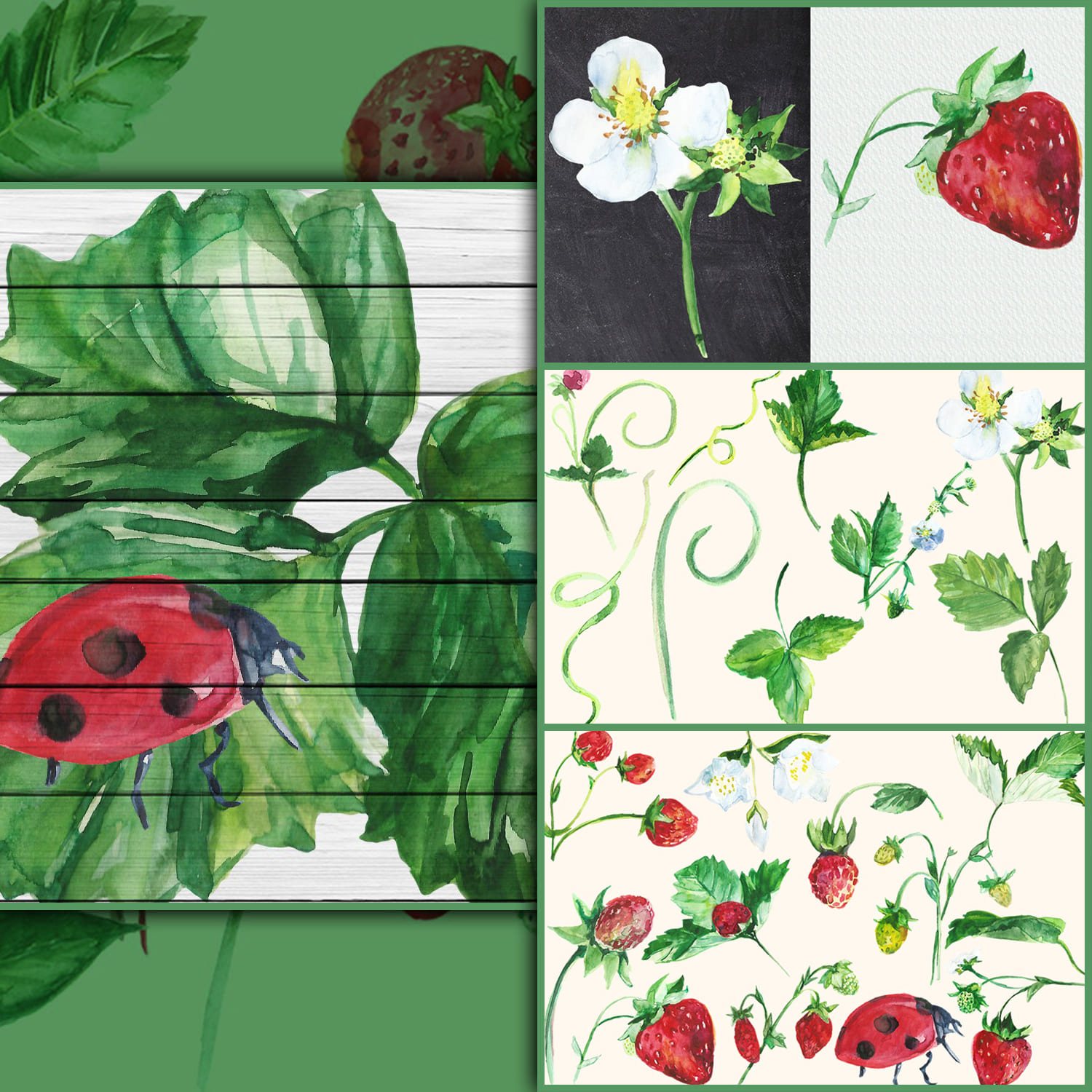 Watercolor Strawberry Clip art cover.