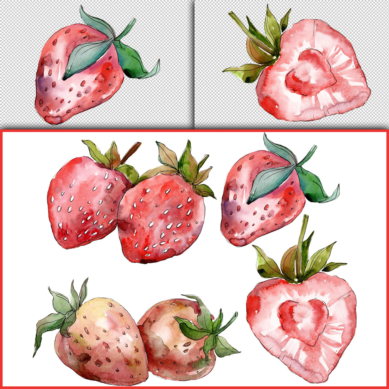 Strawberry red Watercolor png cover.