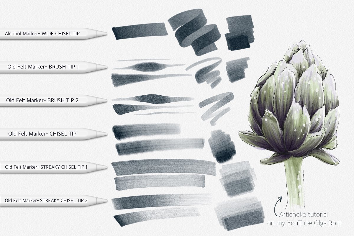 Artichoke tutorial drawn by brush.