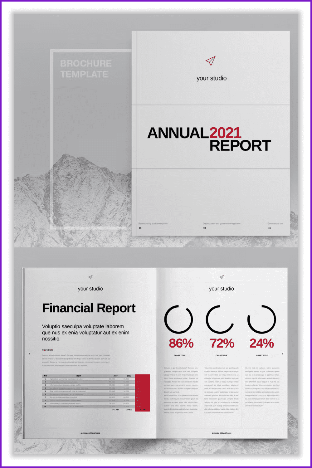 Collage of Annual report pages with round infographic.