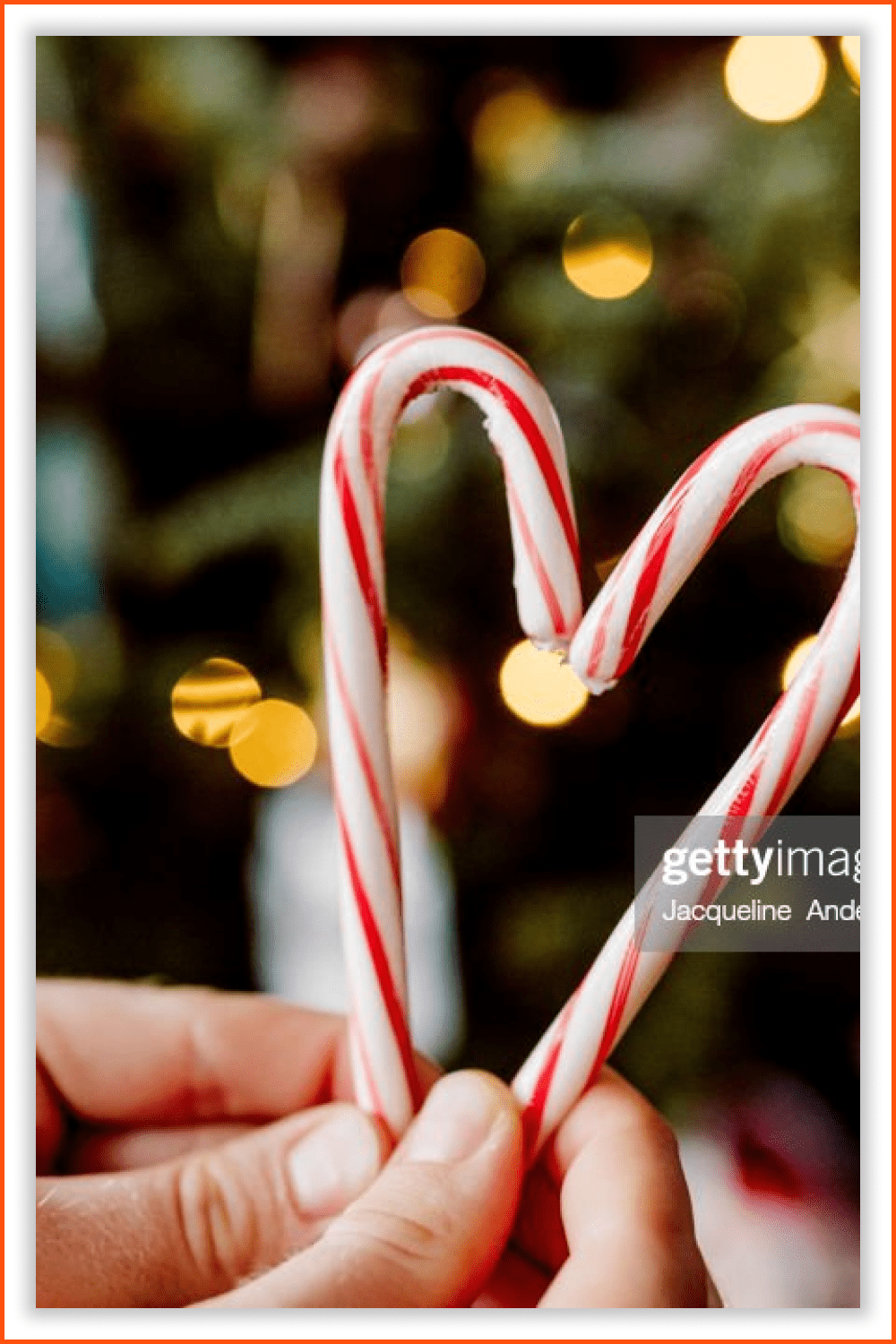 Two candies in heart-shaped form and a tree with lights in the background.