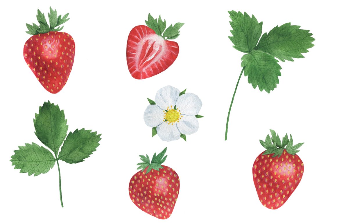 Separate strawberries elements.