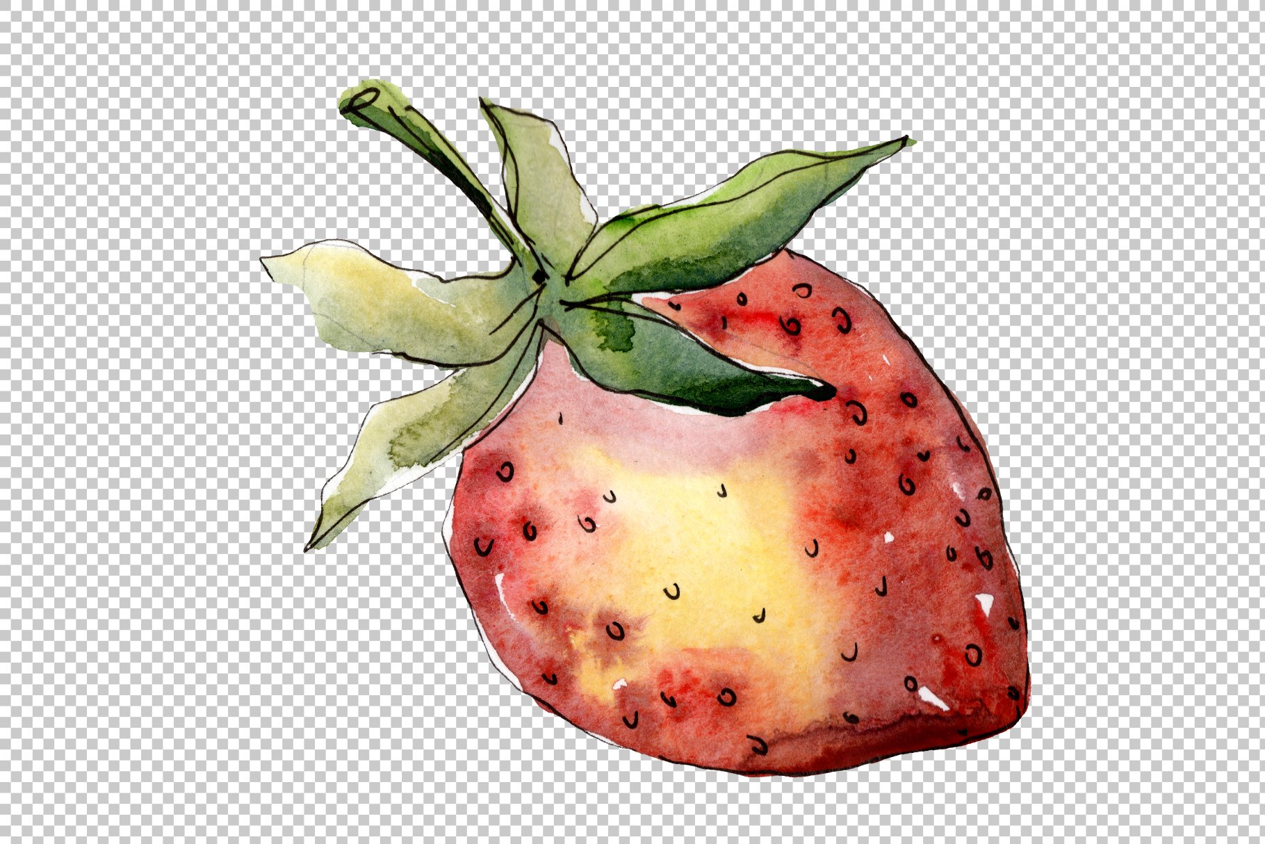 Hand painted strawberry in a watercolor.