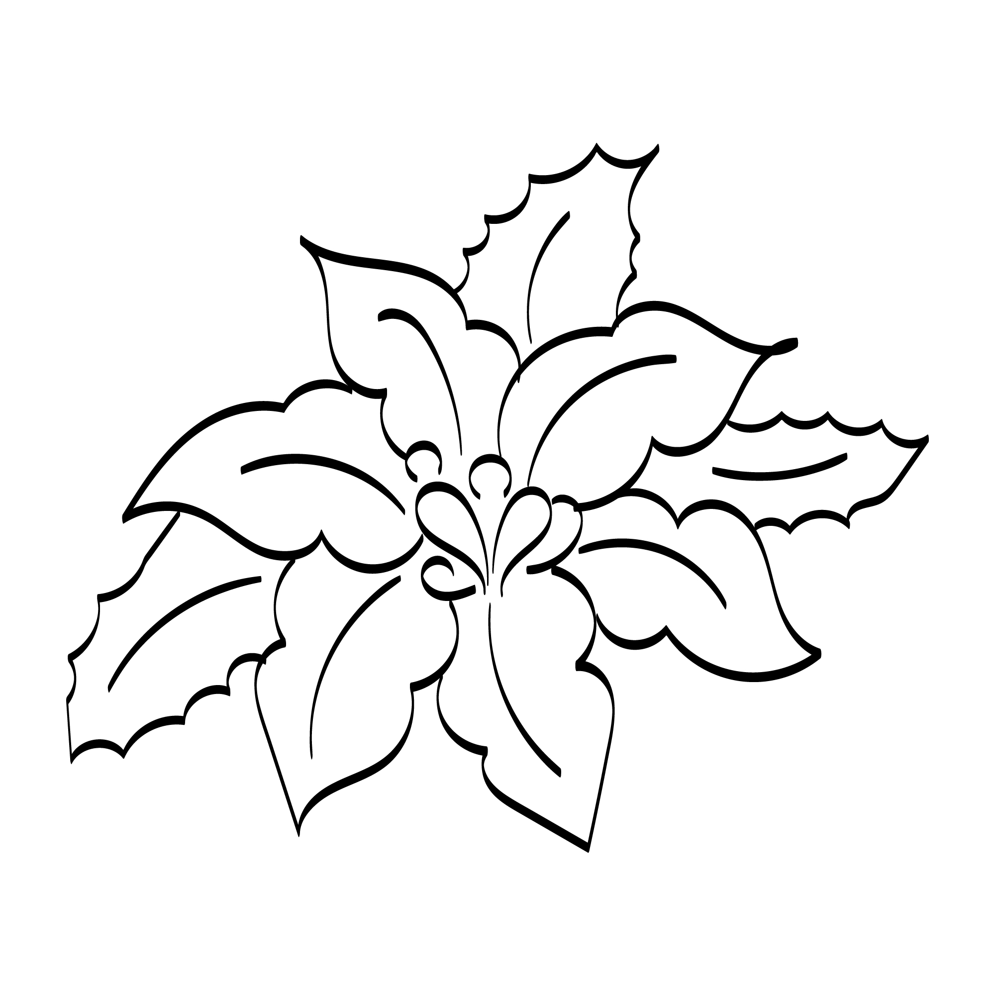 Hand Drawn Christmas Leaves Elements Graphics Design preview image.