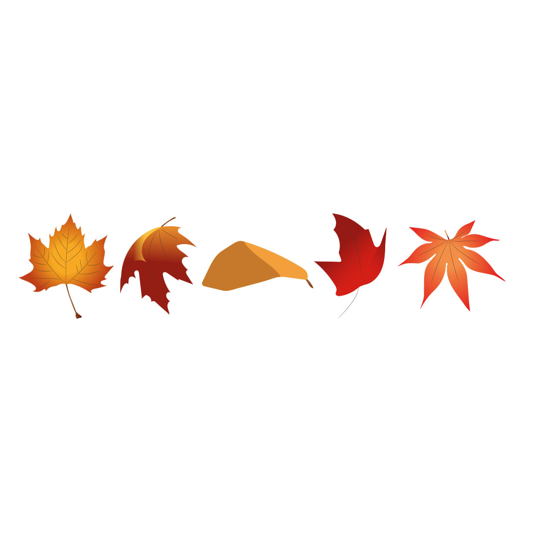 Group of four autumn leaves floating in the air.