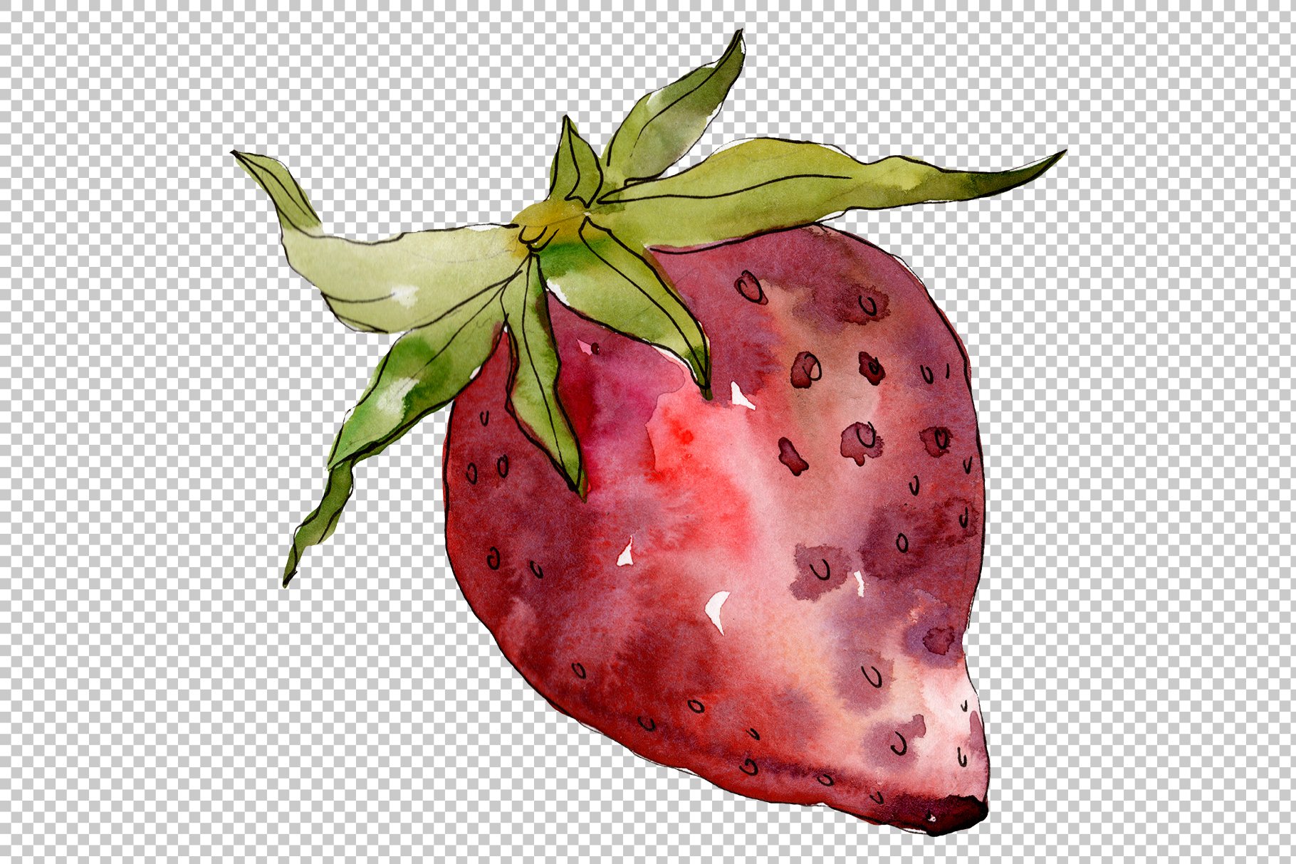 Hand painted strawberry in a watercolor.