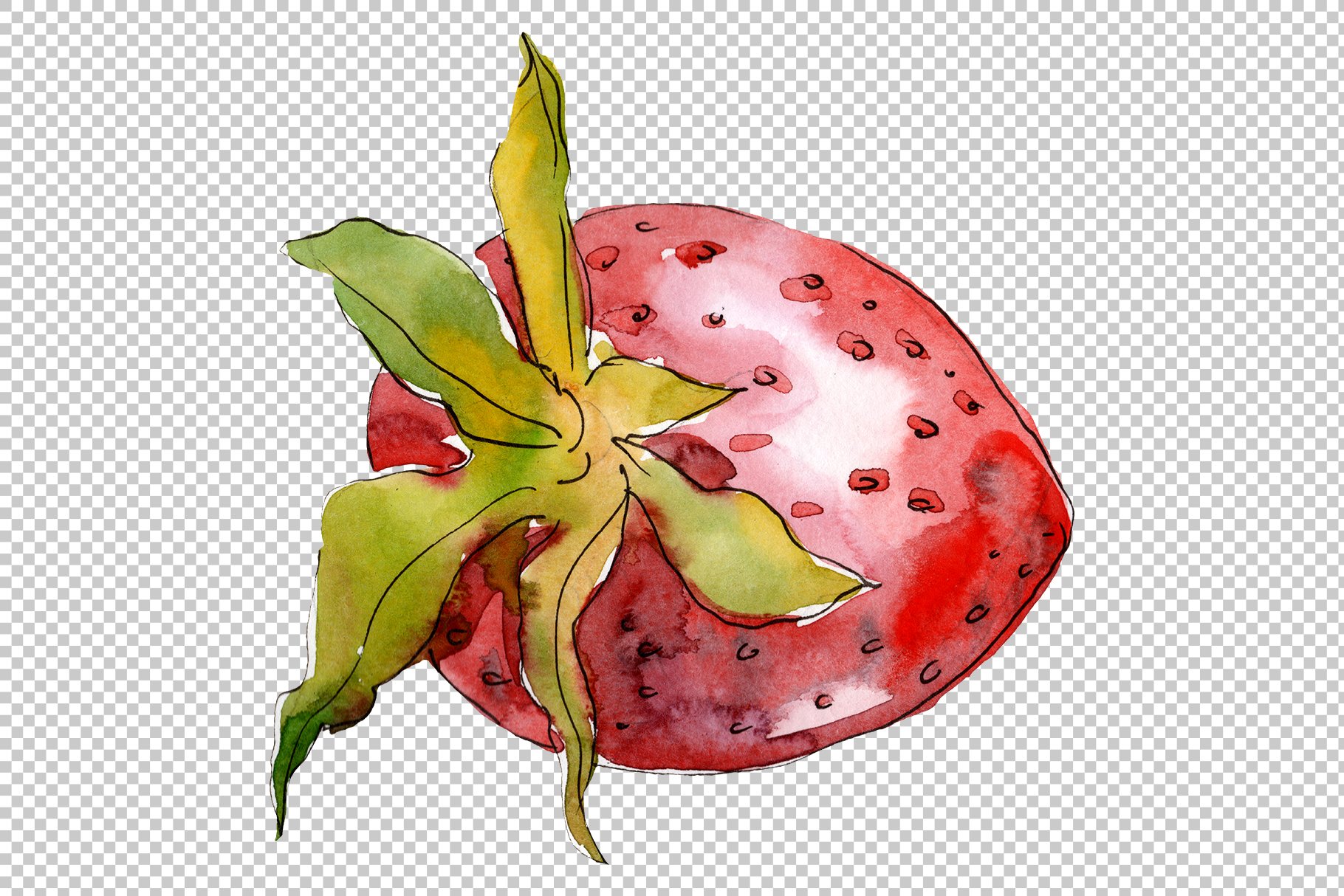 Transparent background with the strawberry in a watercolor.