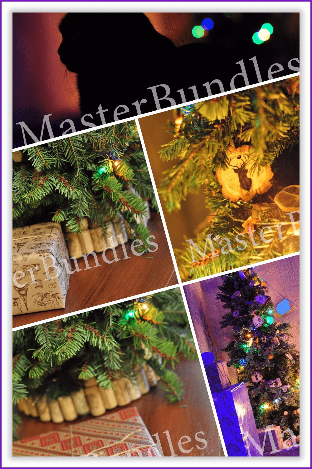 Collage of photos of Christmas trees.