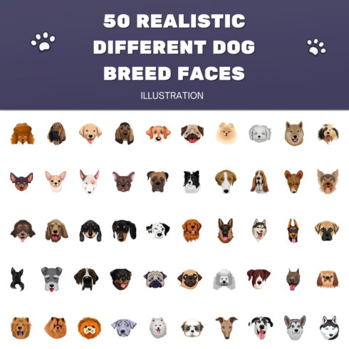 50 X Realistic Different Dog Breed Faces Illustration.