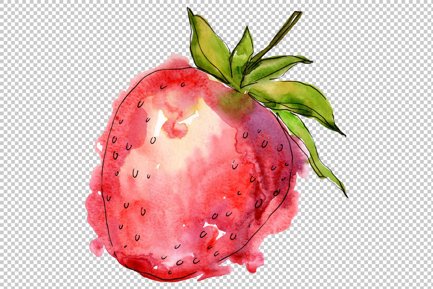 Hand painted strawberry on a transparent background.