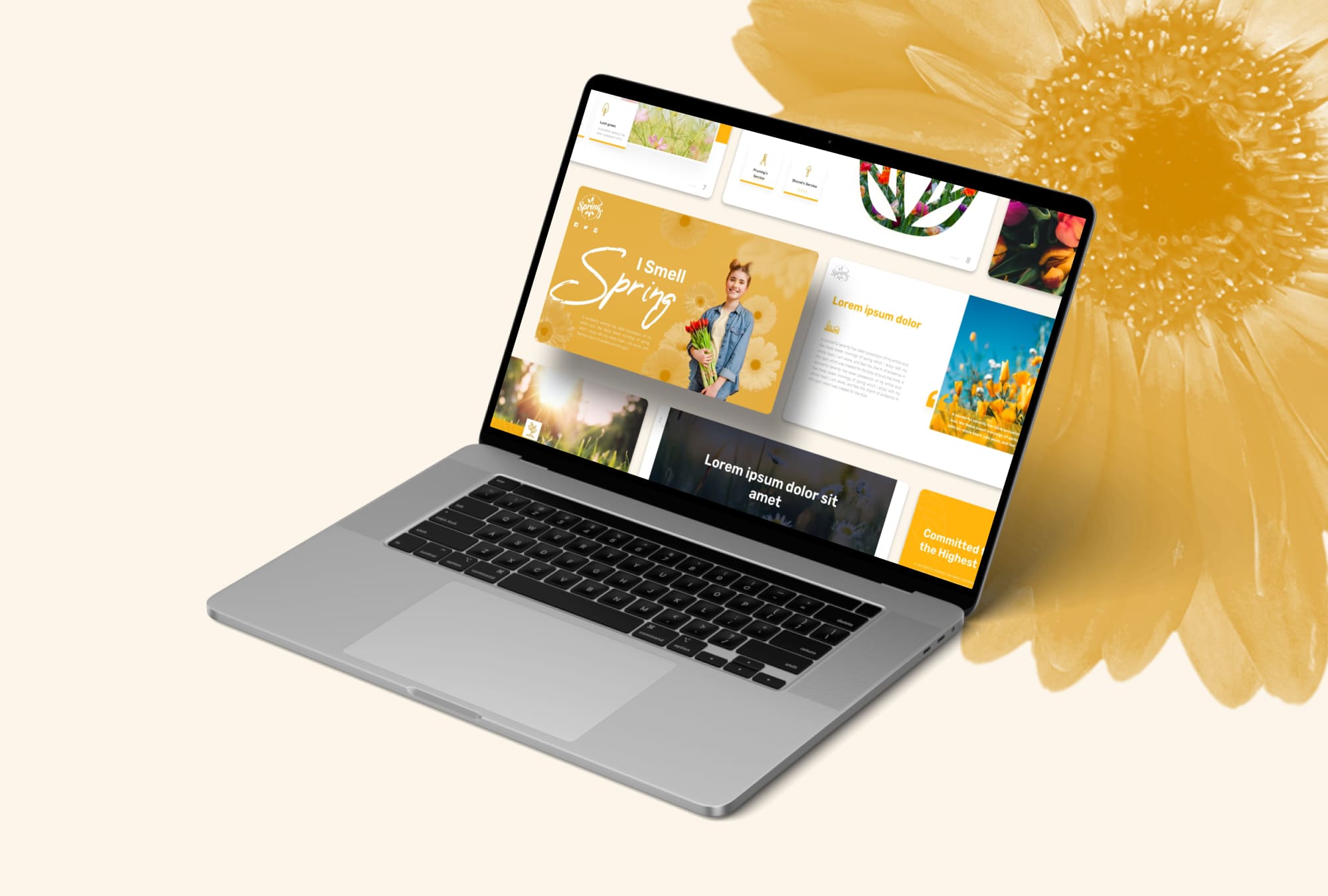 Pack of images of exquisite presentation slides on the theme of spring on a laptop screen.
