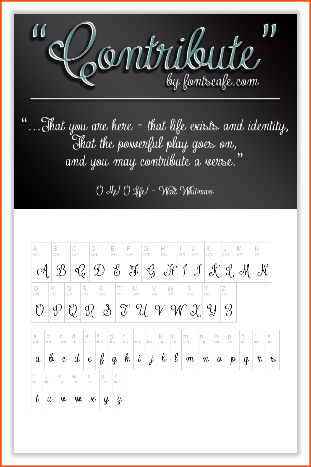 Alphabet from beautiful, calligraphic letters on a black and white background.