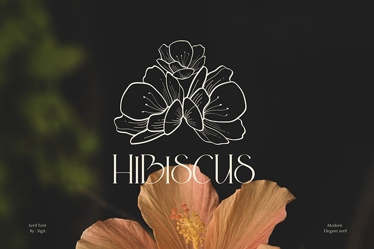 Hibiscus example logo using Alena Serif Font.