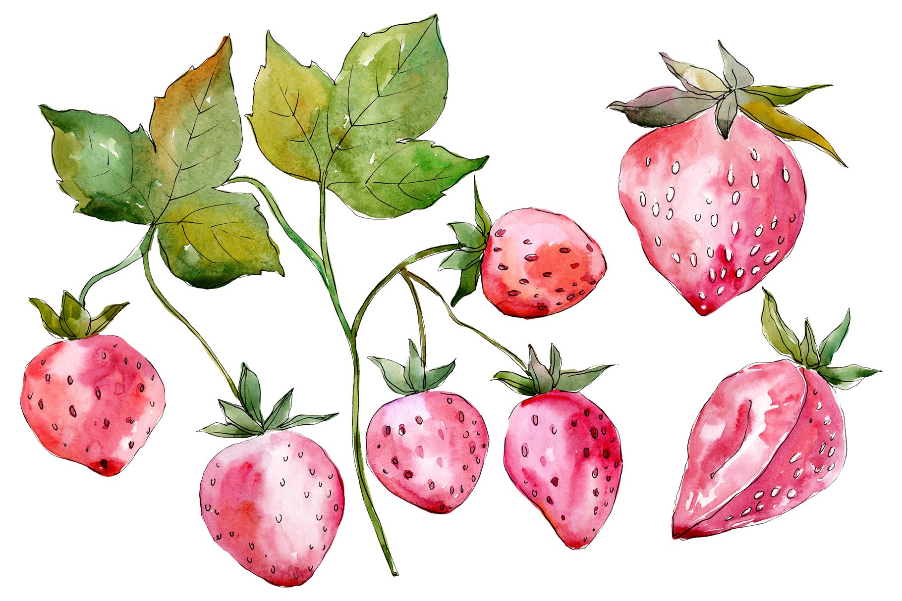 Watercolor strawberries on a white background.