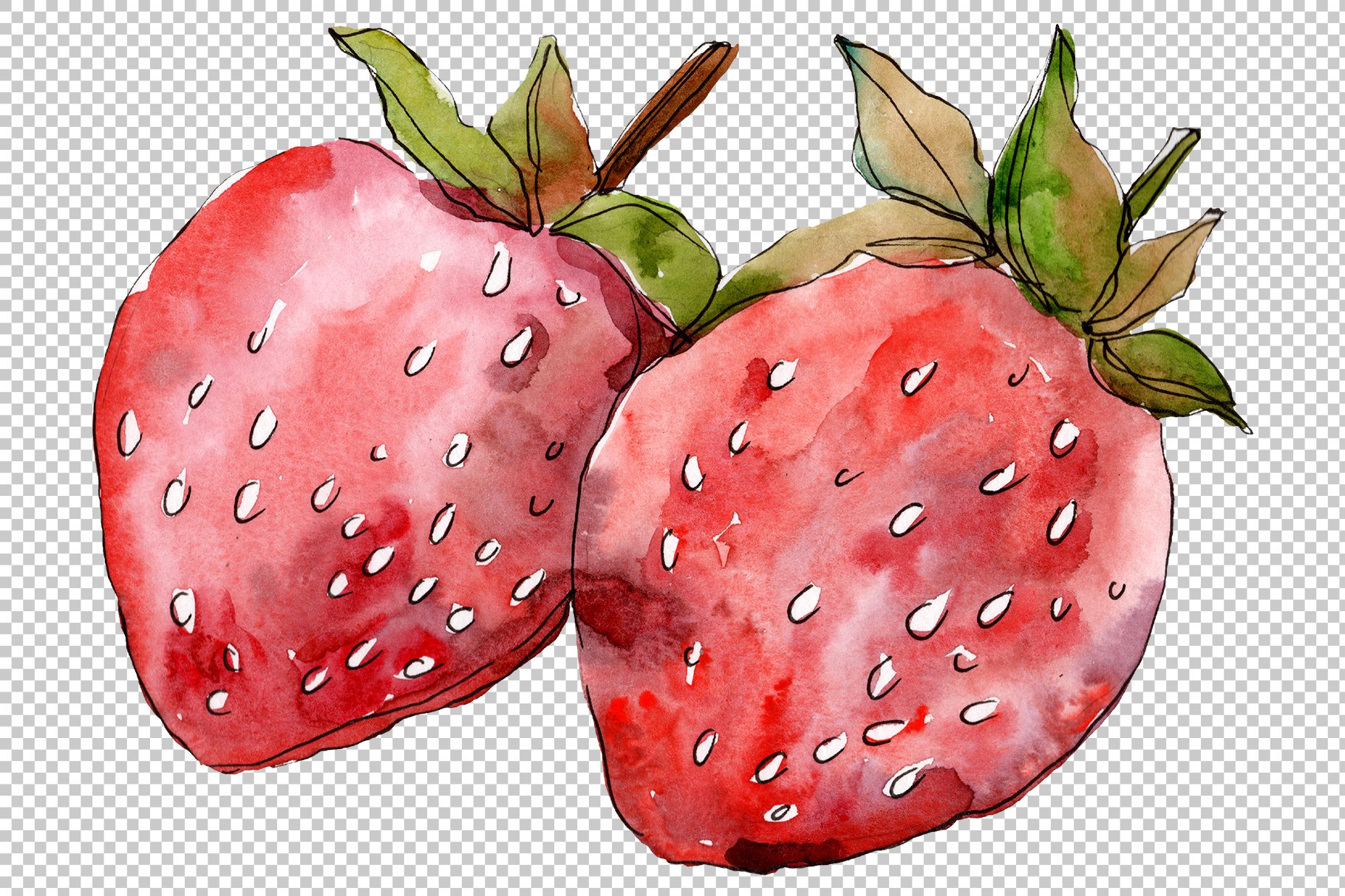 Transparent background with the two watercolor strawberries.