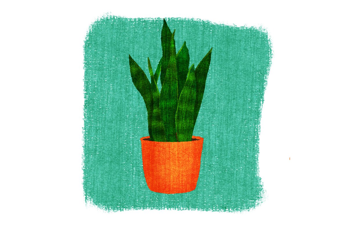 Green plant painted with dry brushes.