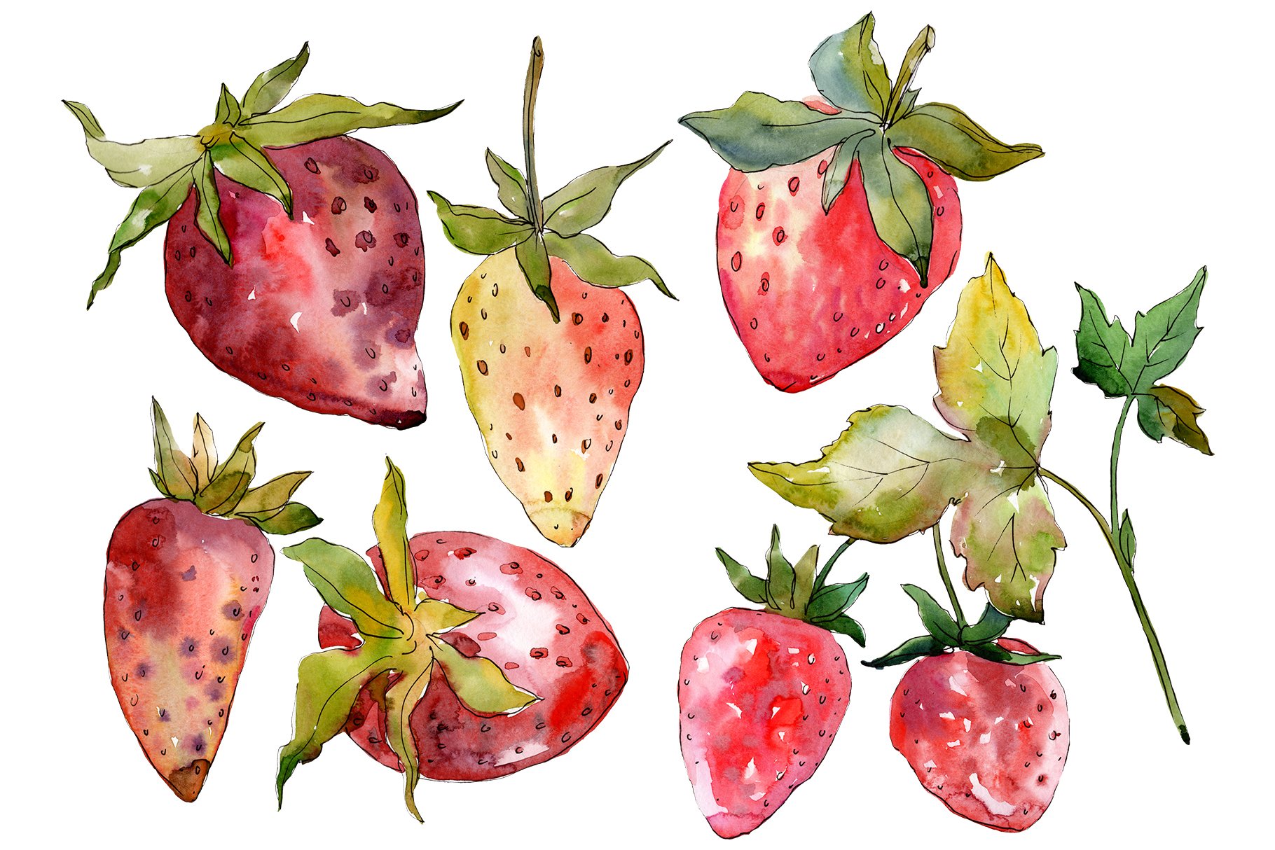 Diverse of strawberries in the different conditions.