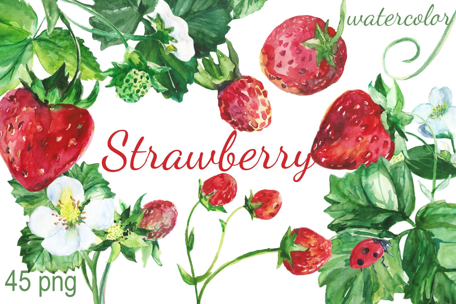 So bright strawberry illustration.