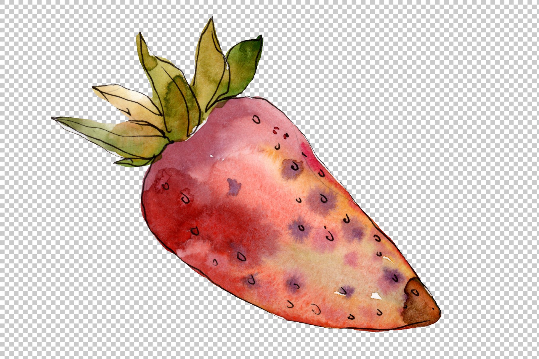 Big strawberry in a watercolor.