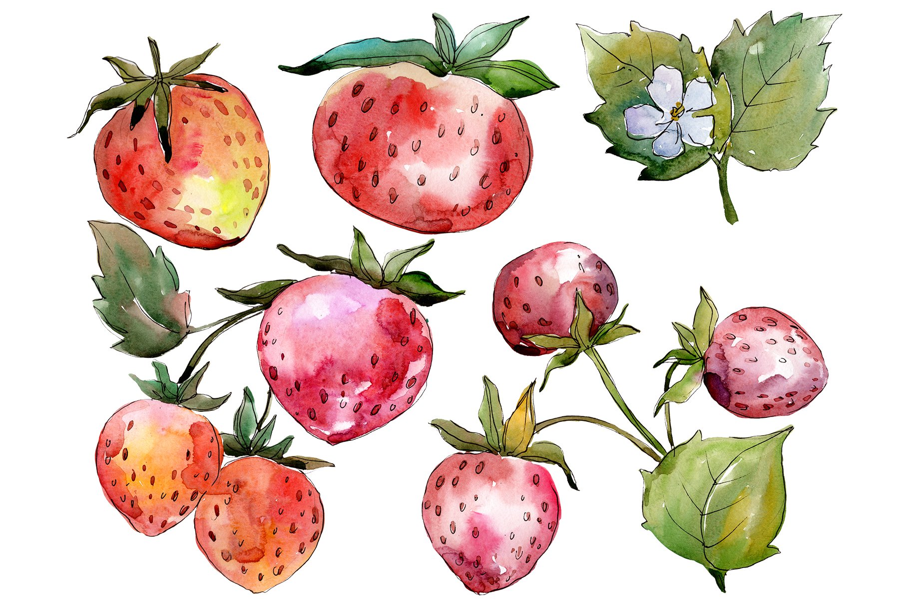 Cool and realistic strawberries illustrations.