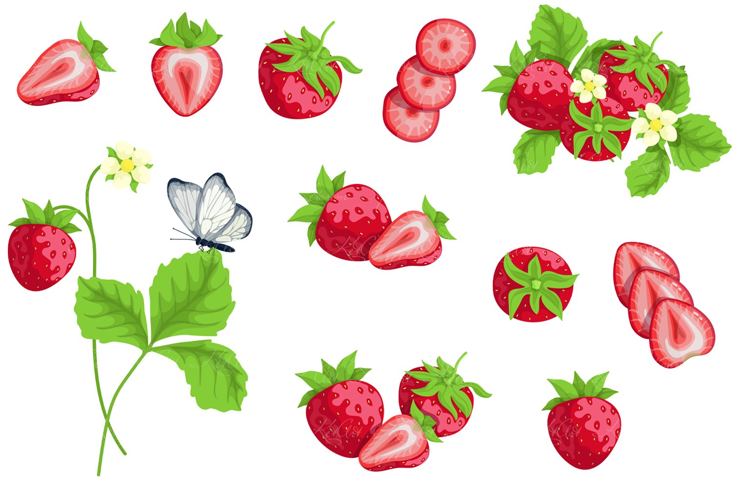 White background with the strawberries collection.