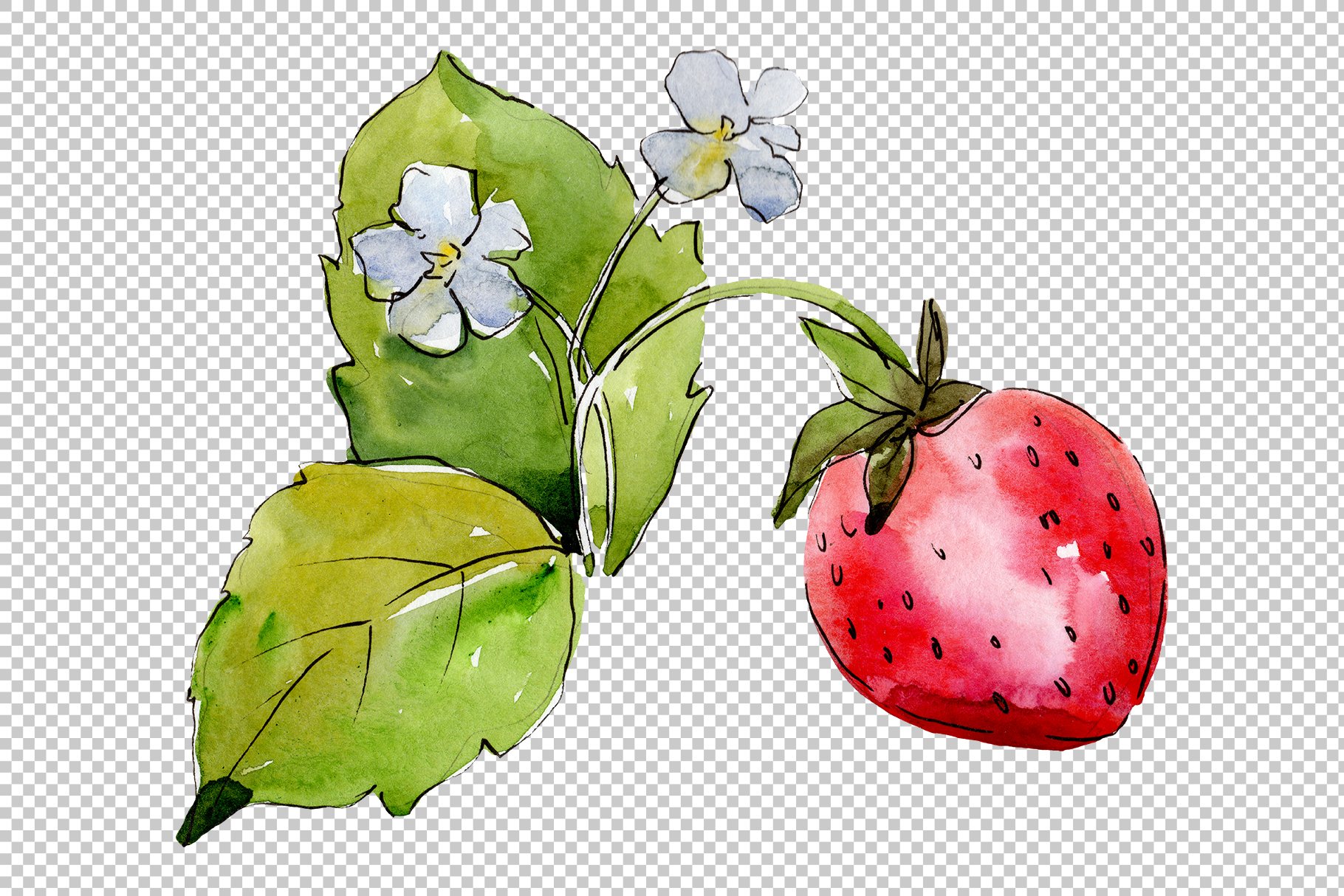 Cute strawberry illustration on a transparent background.