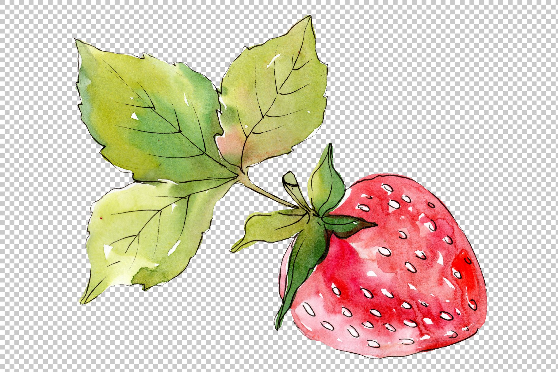 Green leaves with the strawberry.