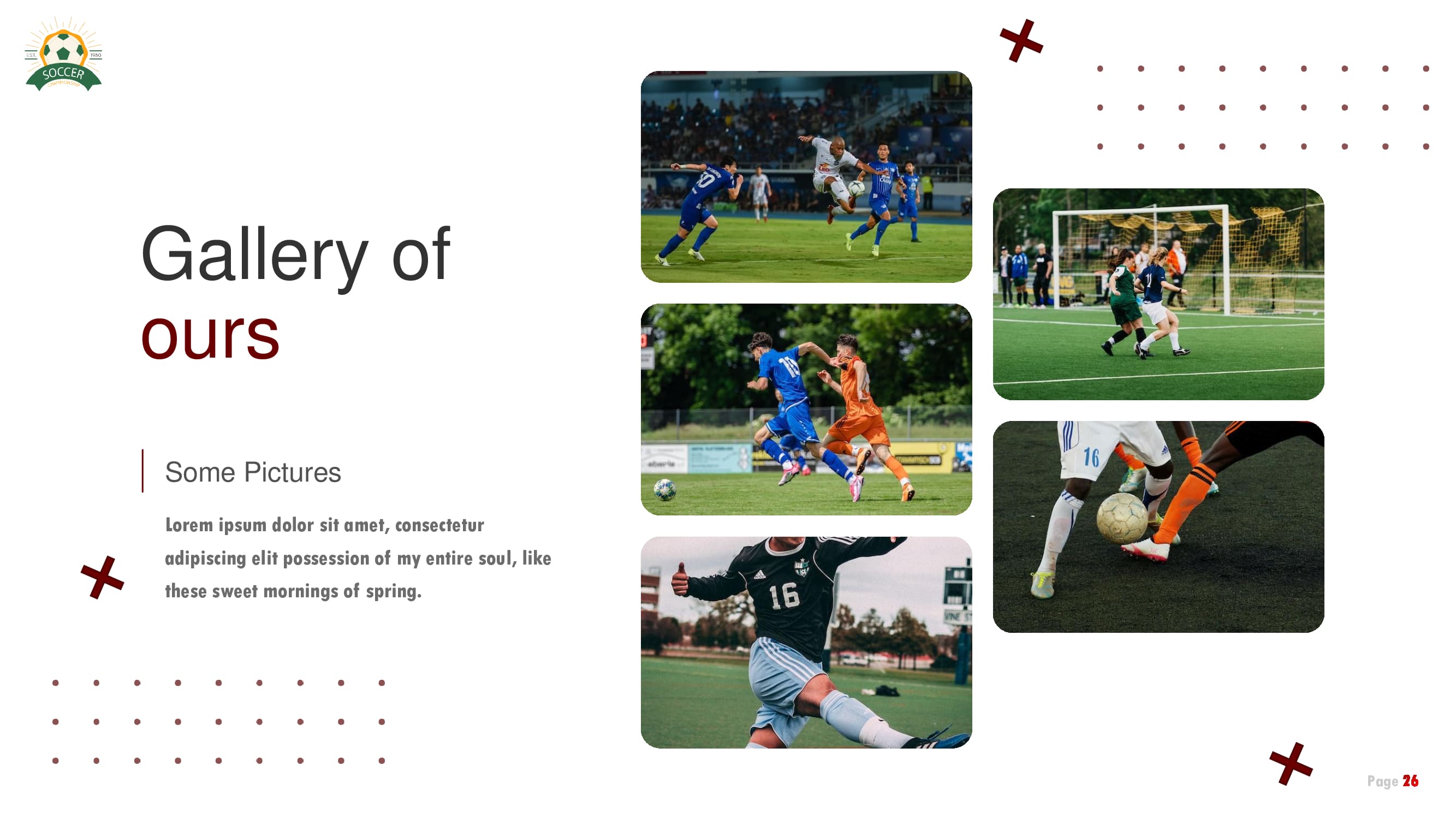 Gallery slide of your some pictures on the soccer theme.