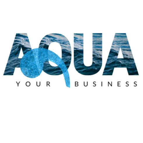 Aqua Logo Design - main image preview.
