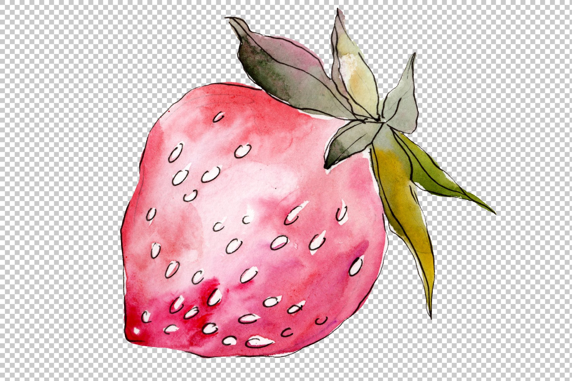 Watercolor strawberry on a transparent background.