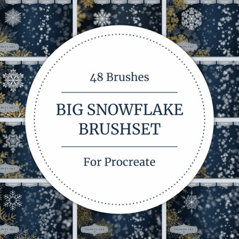 Big Snowflake Brushset for Procreate.