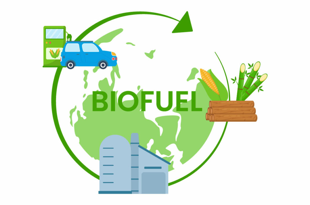 10 Biofuel Life Cycle Illustration MasterBundles