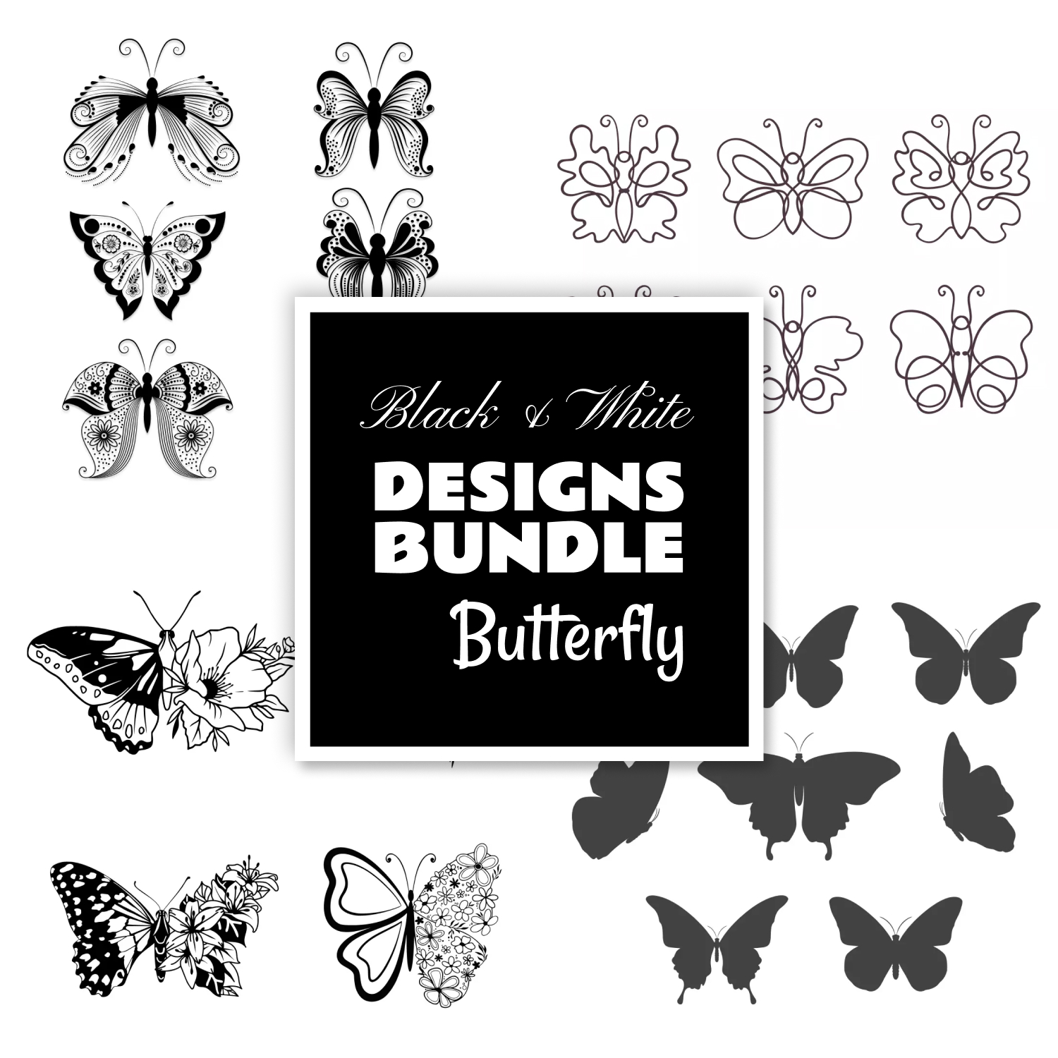 Bunch of butterflies that are black and white.