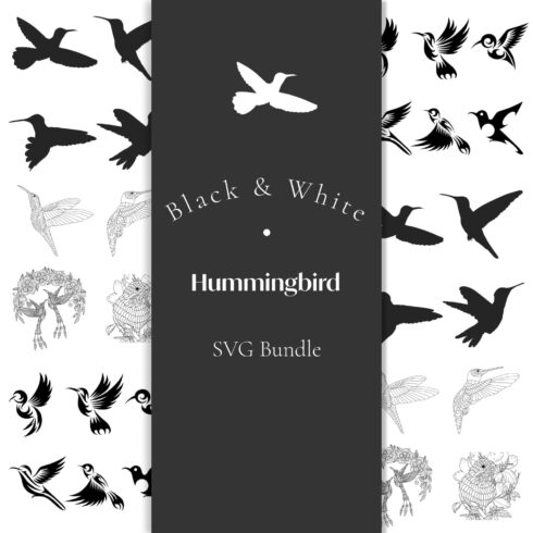 Black and white hummingbird svg bundle.