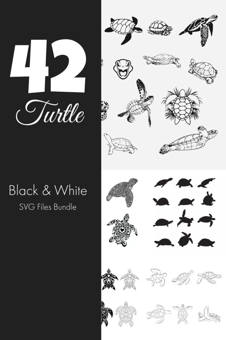 Black & White Turtle SVG Files Bundle – MasterBundles